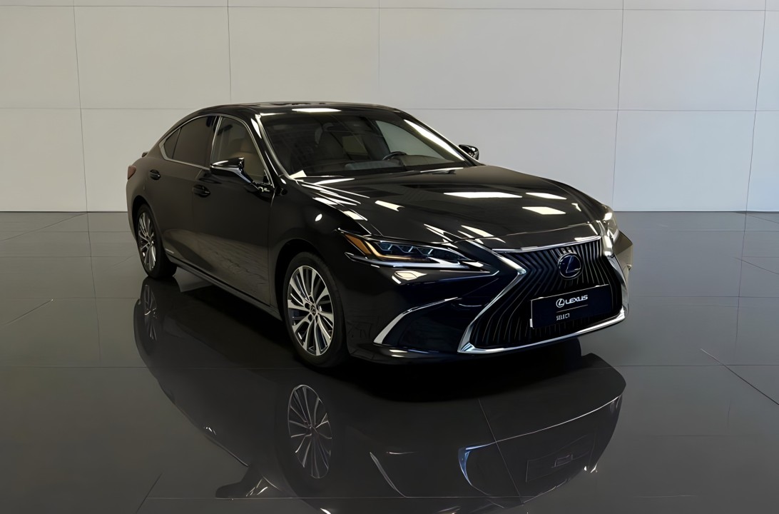 Lexus Seria ES 300h (1)