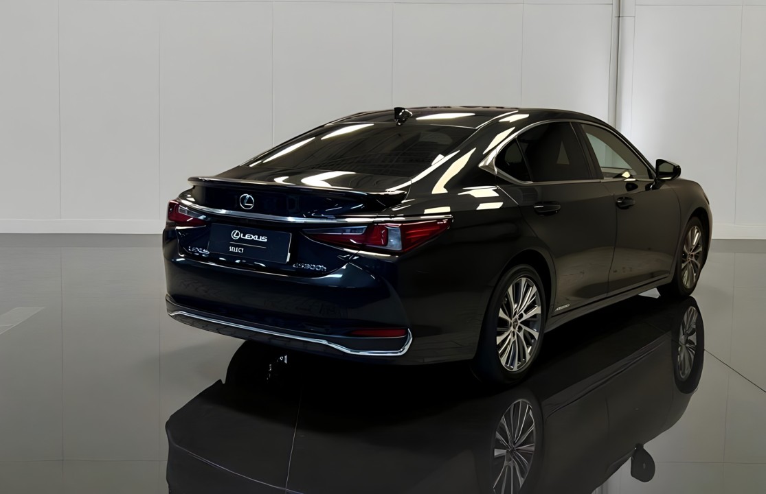 Lexus Seria ES 300h (3)