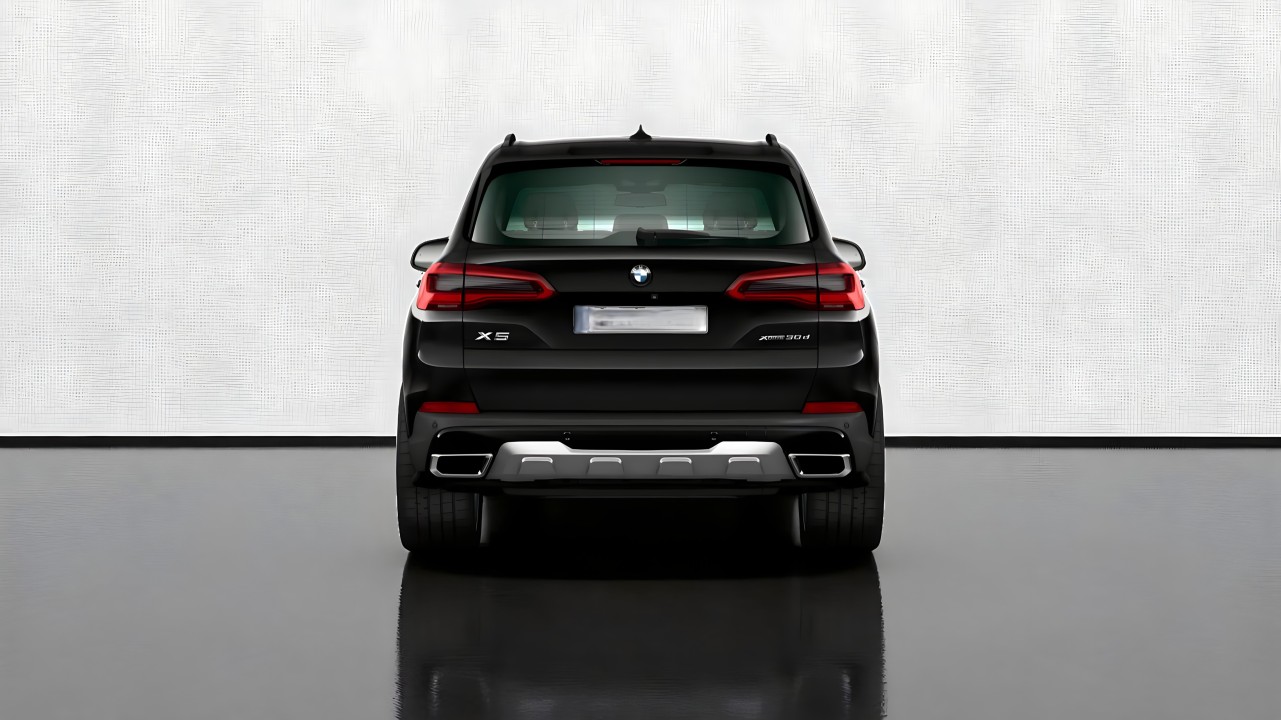 BMW X5 xDrive30d xLine (4)