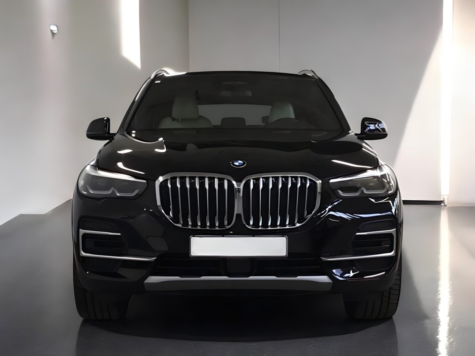 BMW X5 xDrive 30d (5)
