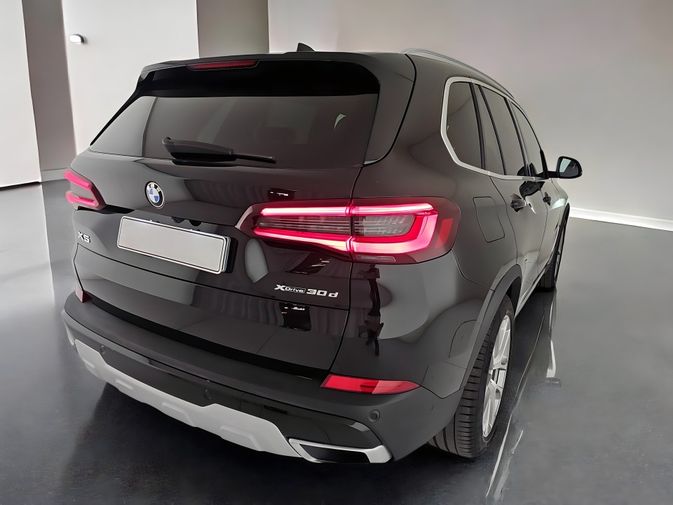 BMW X5 xDrive30d xLine (3)