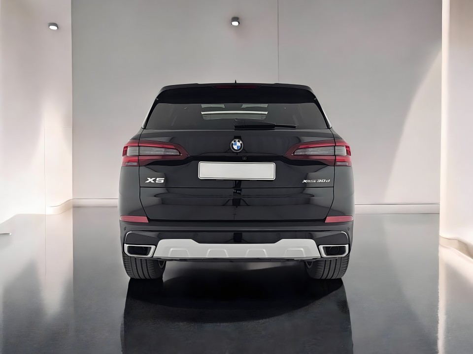 BMW X5 xDrive30d xLine (4)