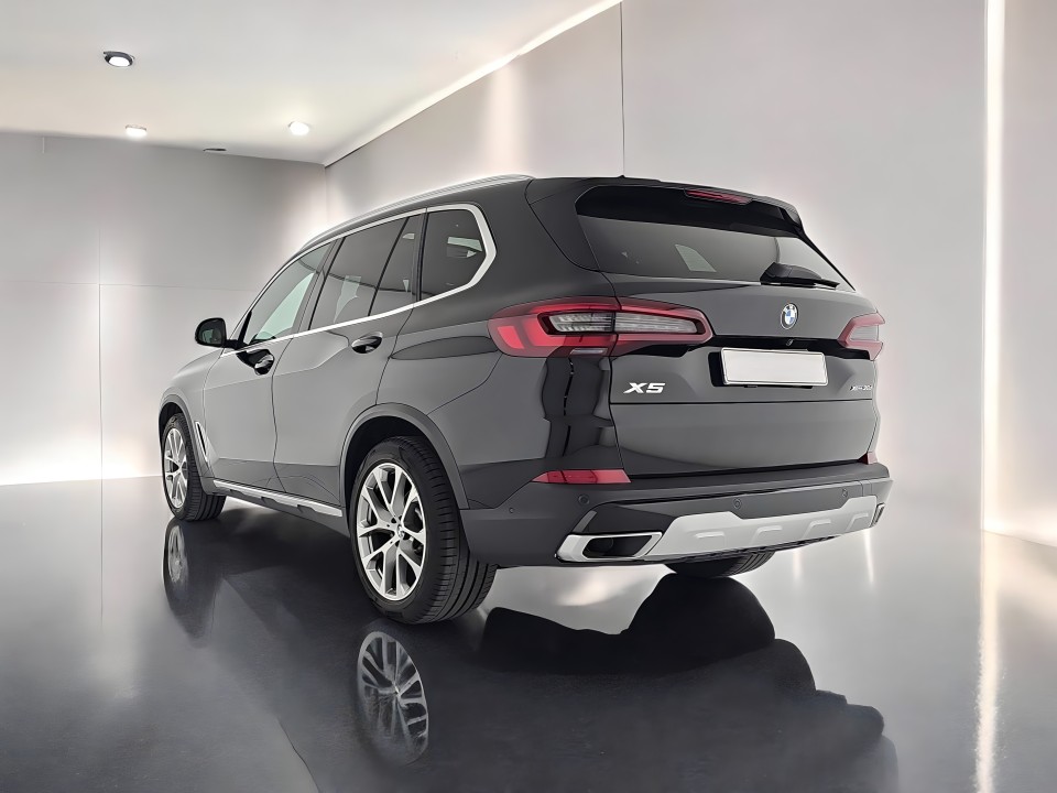 BMW X5 xDrive30d xLine (5)