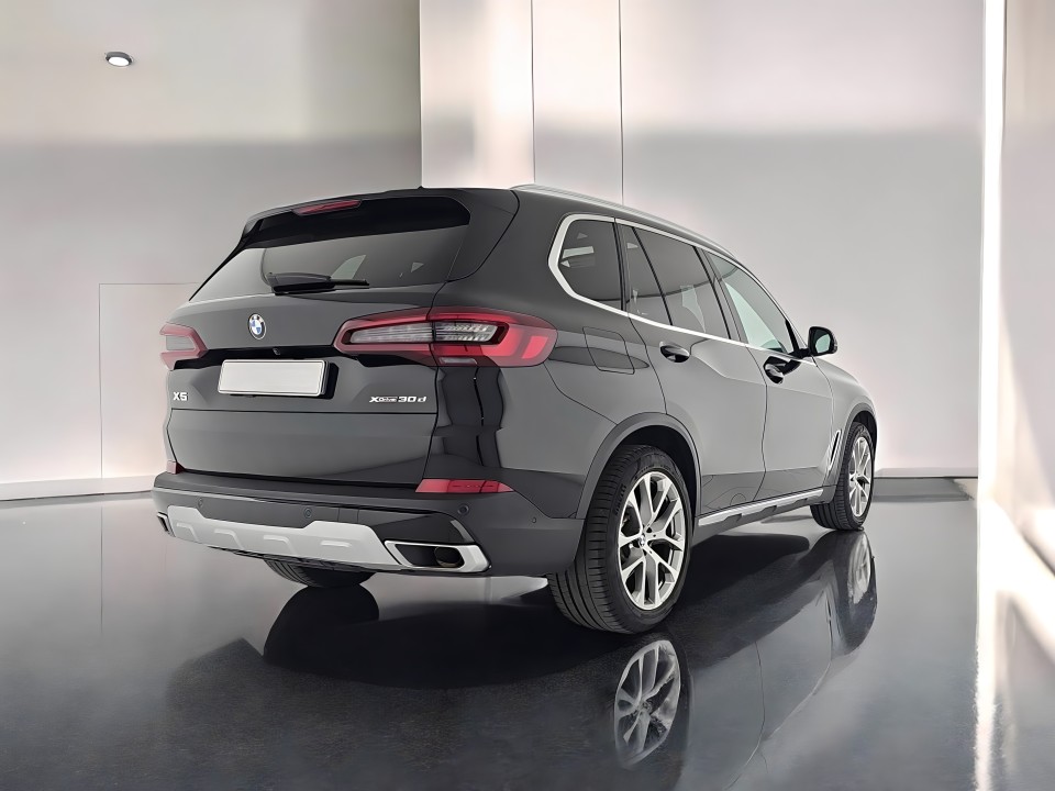 BMW X5 xDrive30d xLine (2)