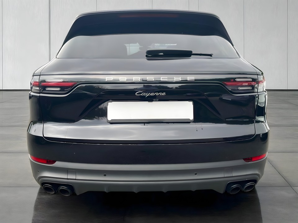 Porsche Cayenne Platinum Edition (4)