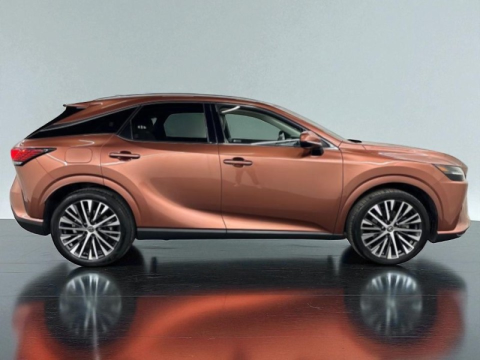 Lexus Seria RX 450h+ Executive Line (2)