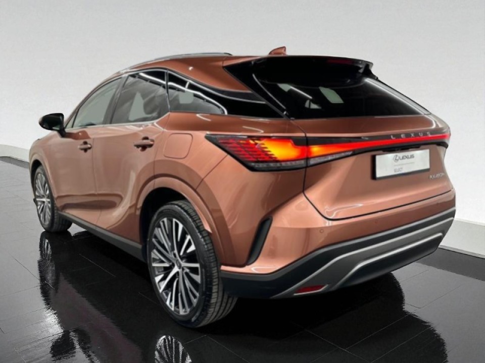 Lexus Seria RX 450h+ Executive Line (5)
