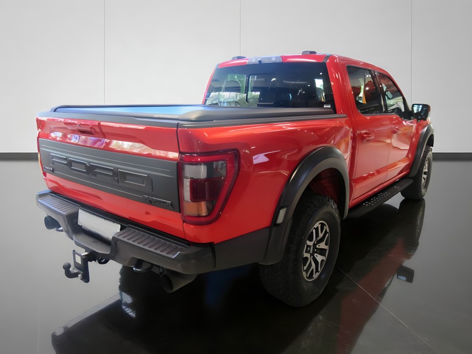 Ford F150 Raptor 3.5 EcoBoost (4)