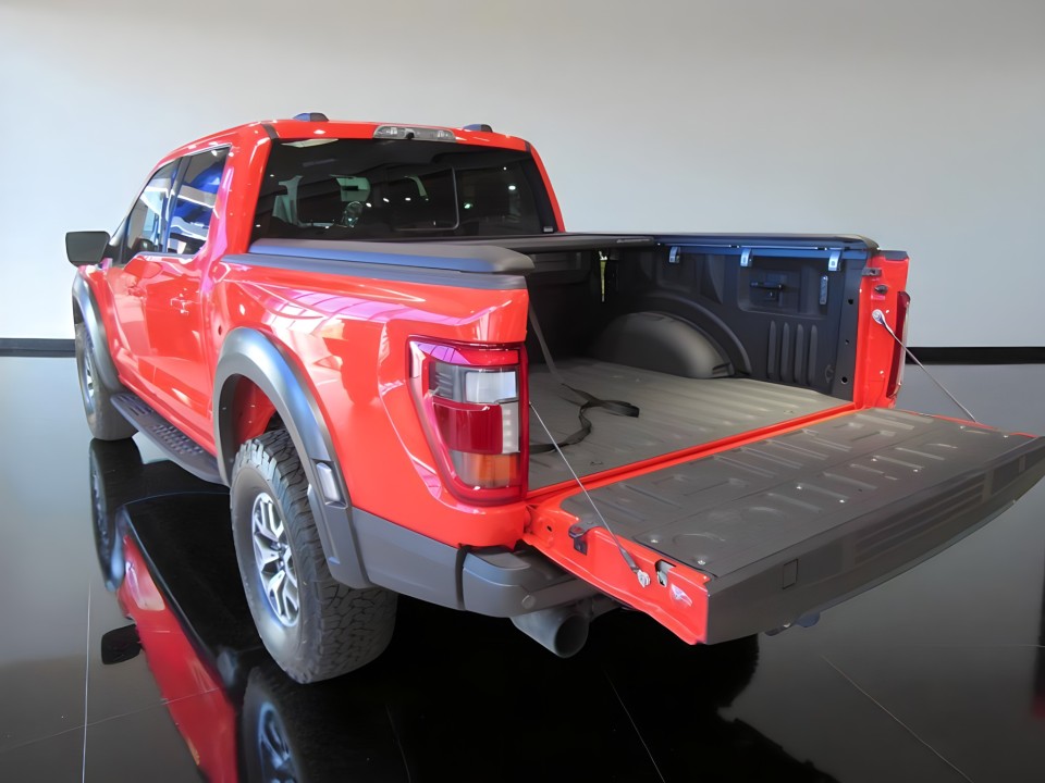 Ford F150 Raptor 3.5 EcoBoost (3)