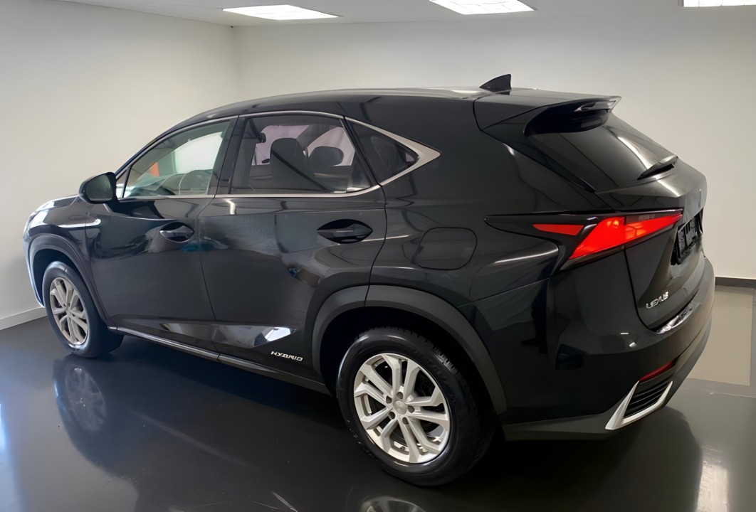 Lexus Seria NX 300 (3)