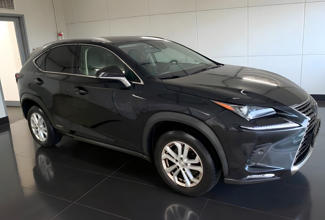 Lexus Seria NX 300 (1)