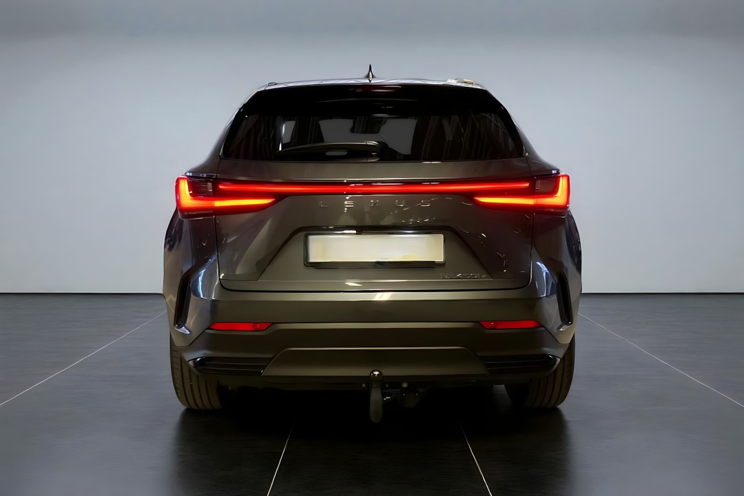 Lexus Seria NX 450h+ (4)