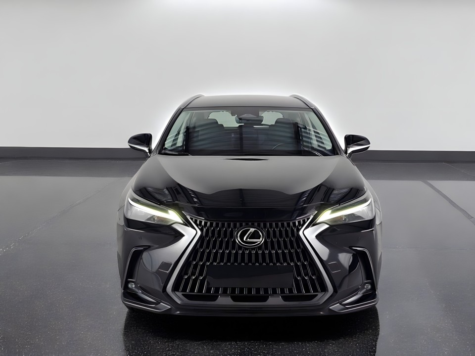 Lexus NX 350 (2)