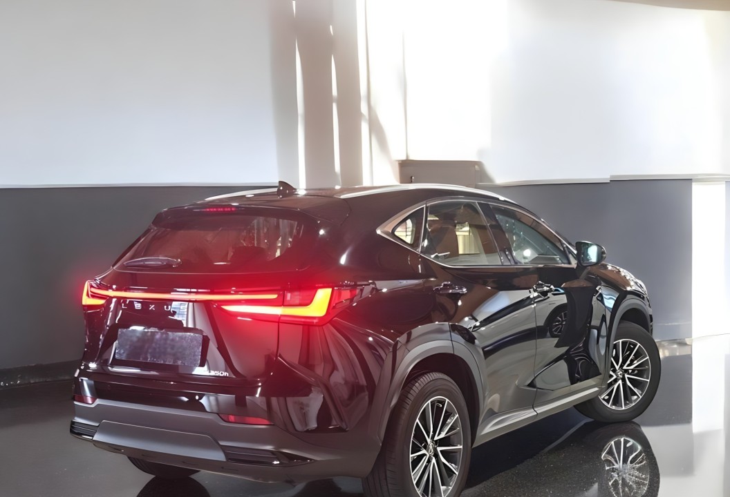 Lexus NX 350 (4)