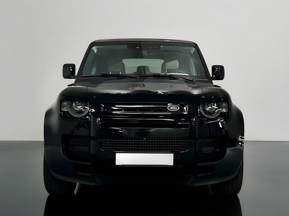 Land Rover Defender (2)