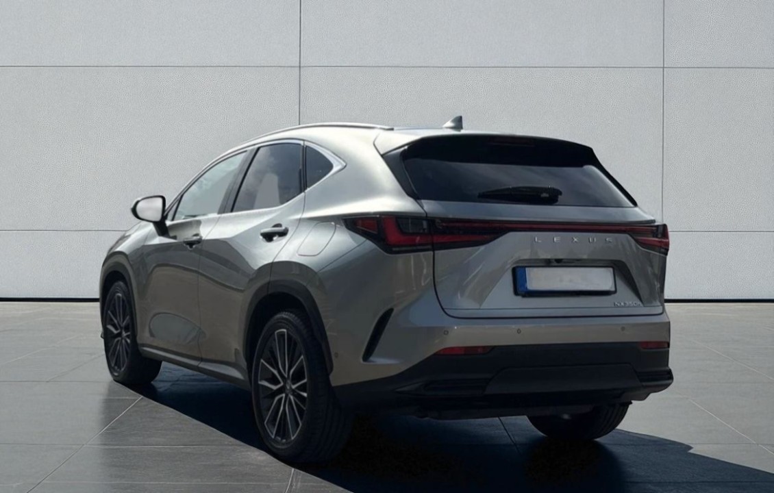 Lexus Seria NX 350h AWD Luxury (4)