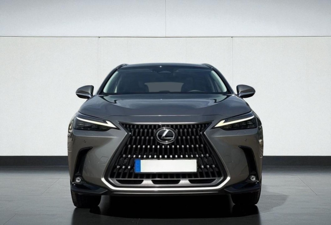 Lexus Seria NX 350h AWD Luxury (2)