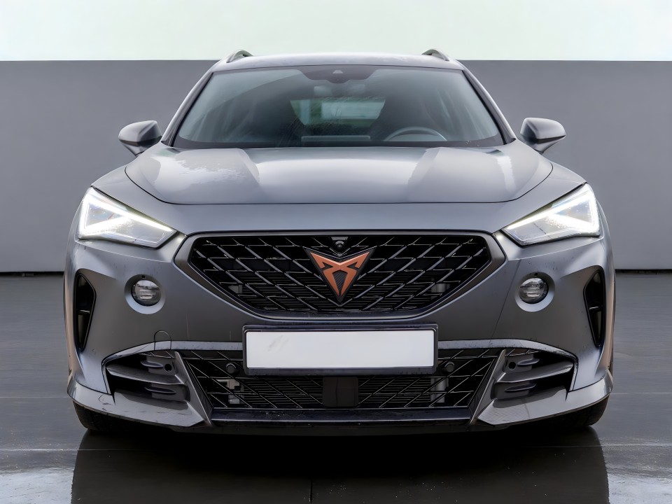 Cupra Formentor VZ5 (2)