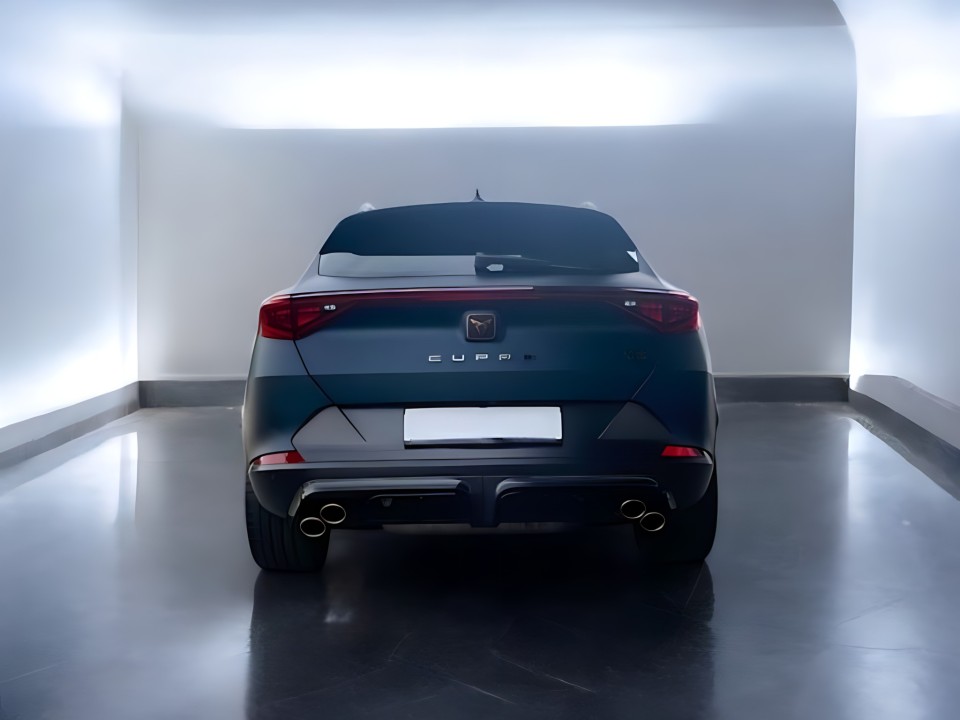 Cupra Formentor VZ5 (4)