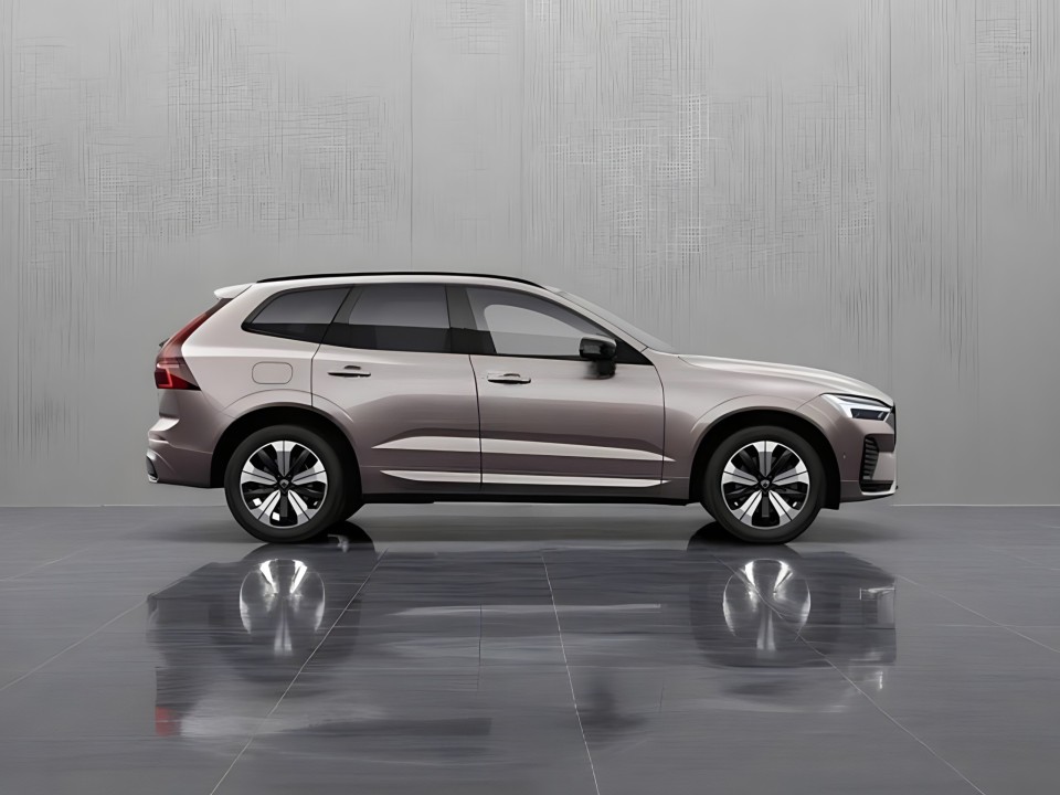 Volvo XC 60 T6 Recharge AWD Plus Dark (3)