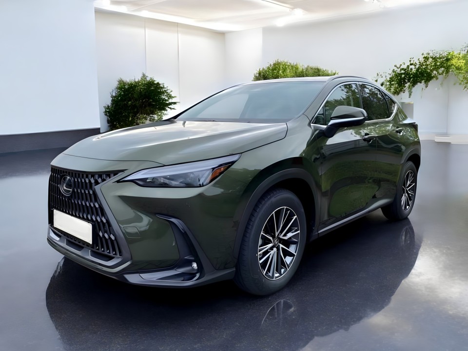 Lexus Seria NX 450h+ AWD Business Line (1)