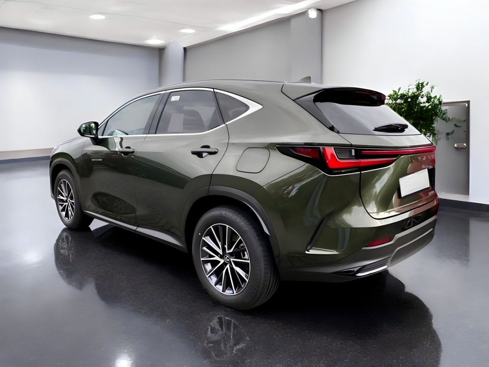 Lexus Seria NX 450h+ AWD Business Line (4)