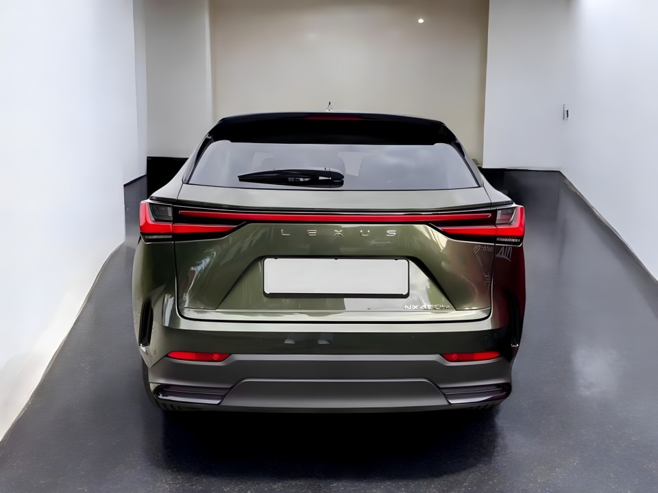 Lexus Seria NX 450h+ AWD Business Line (5)