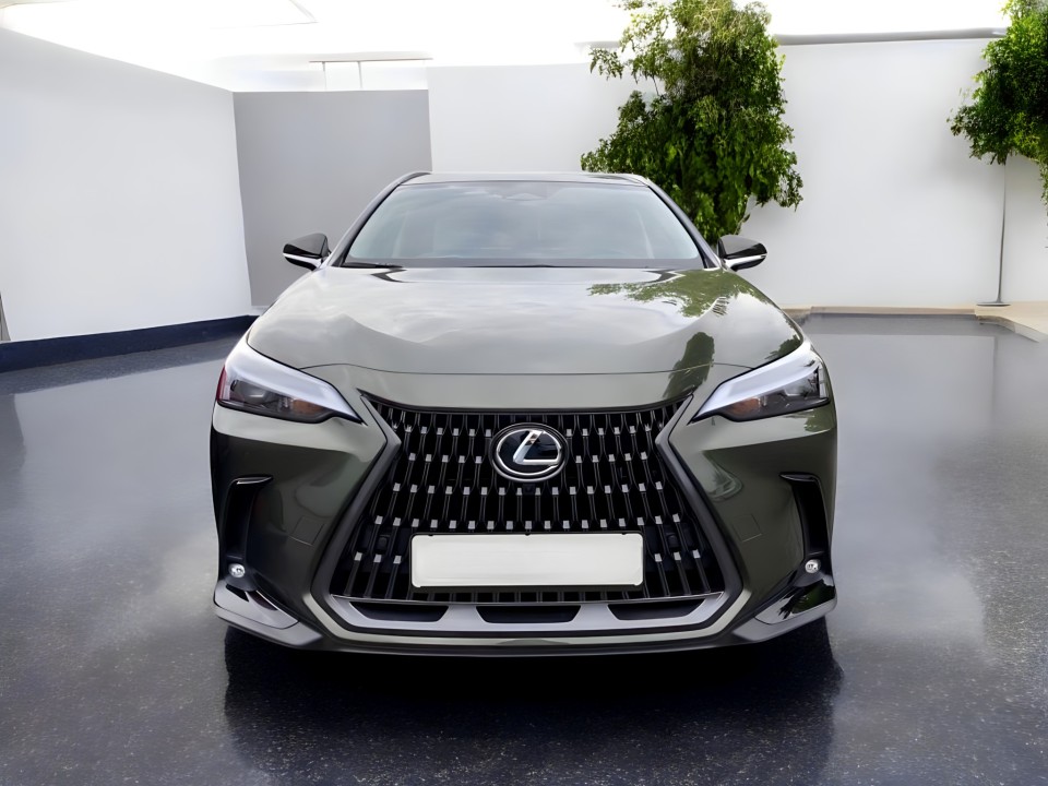 Lexus Seria NX 450h+ AWD Business Line (2)