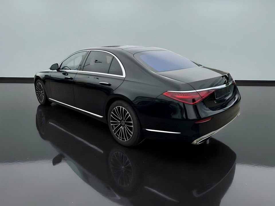 Mercedes-Benz S 450 4MATIC Long (5)