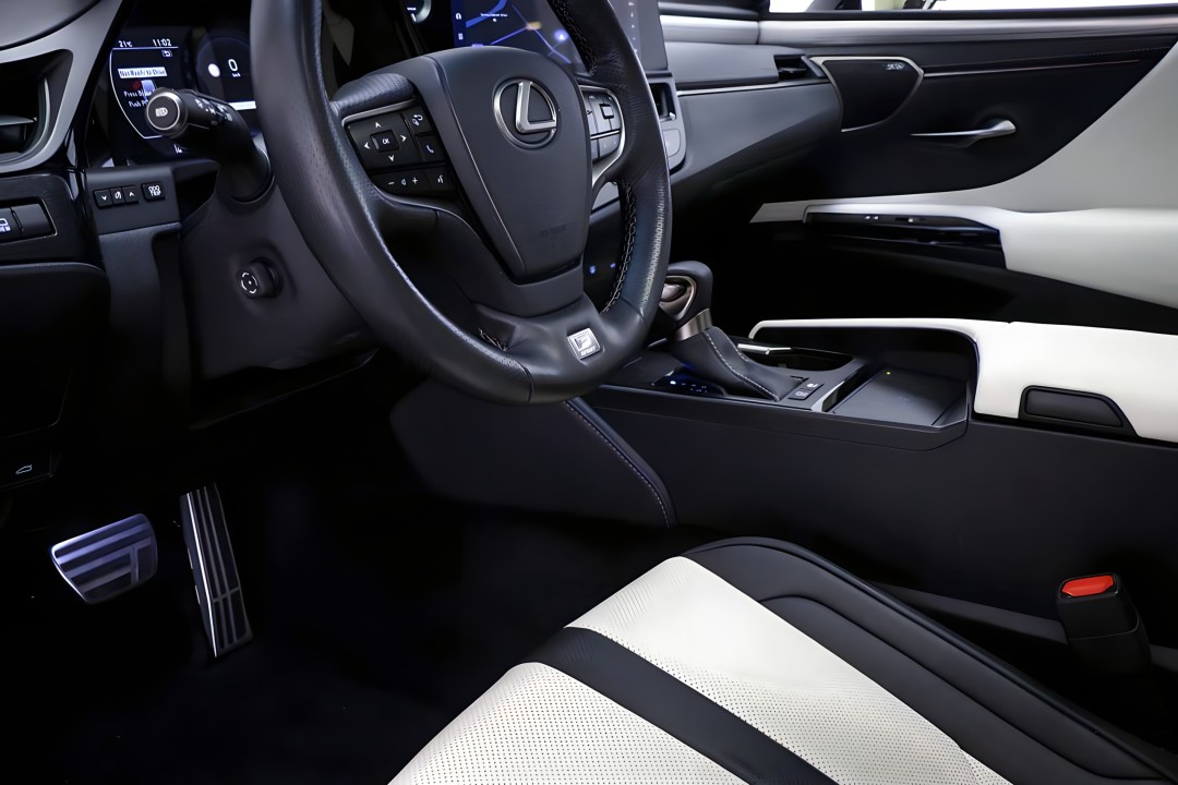 Lexus Seria ES 300h F Sport (5)