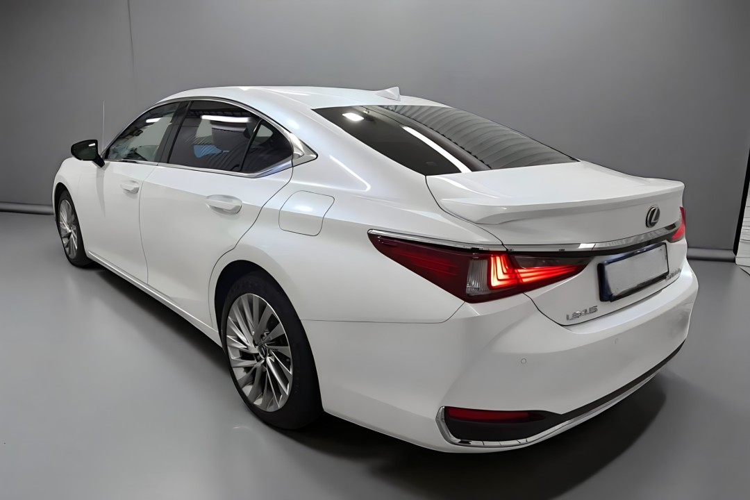 Lexus Seria ES 300h Luxury (5)