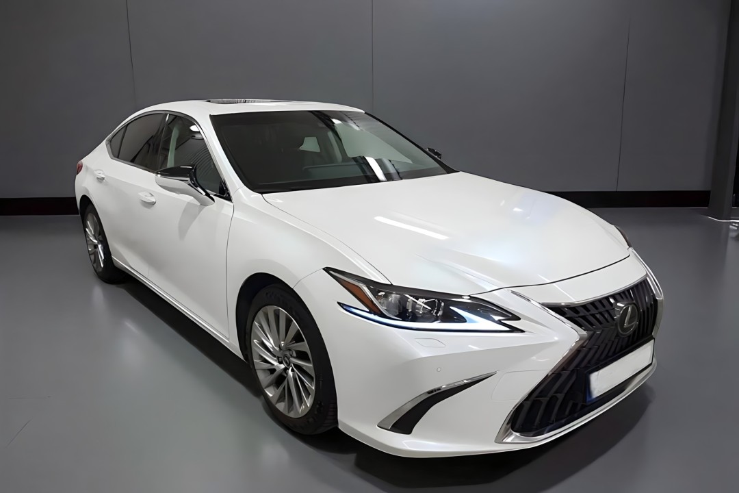 Lexus Seria ES 300h Luxury (1)