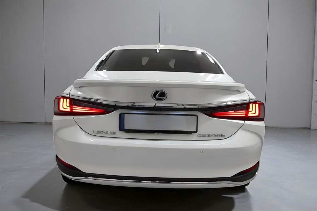 Lexus Seria ES 300h Luxury (4)