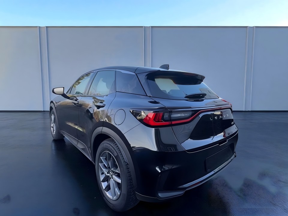 Lexus LBX Comfort (5)