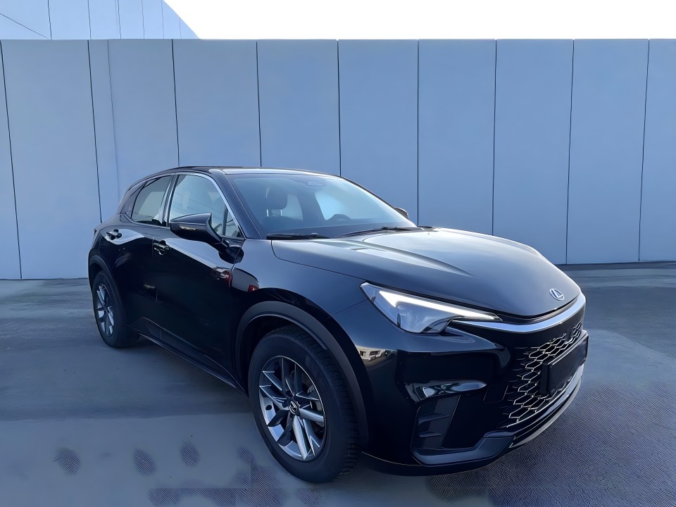 Lexus LBX Comfort (1)