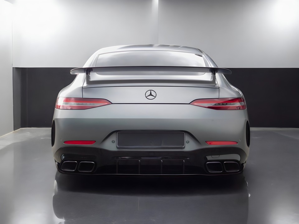 Mercedes-Benz AMG GT 63 AMG (3)