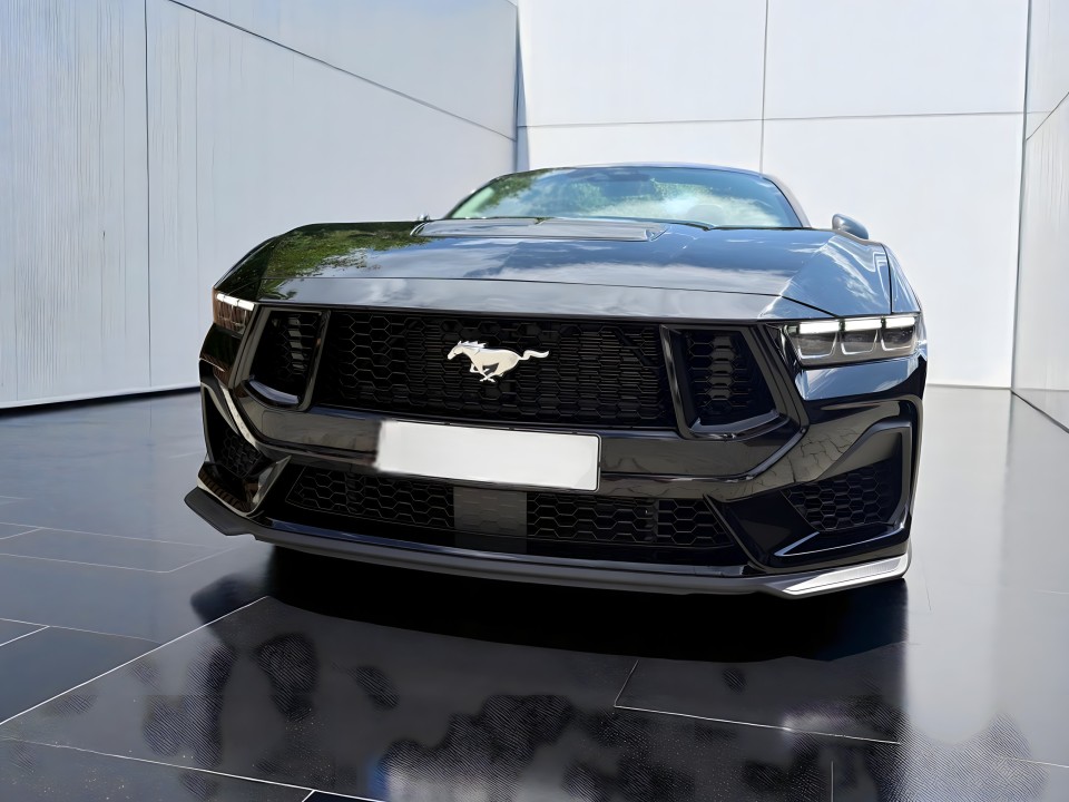 Ford Mustang GT 5.0 V8 - foto 21
