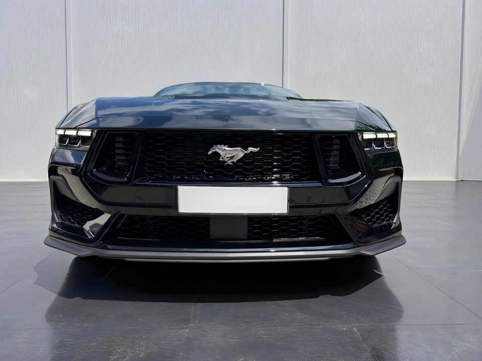 Ford Mustang GT 5.0 V8 - foto 22