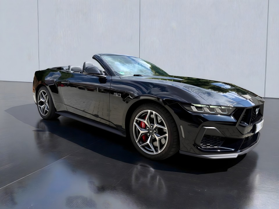 Ford Mustang GT 5.0 V8 (3)