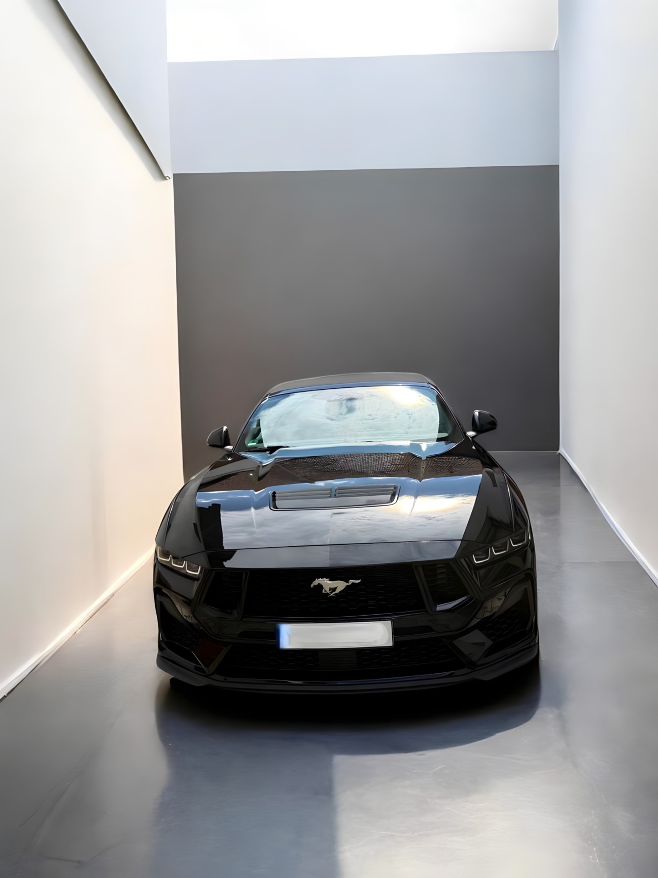 Ford Mustang GT 5.0 V8 - foto 20