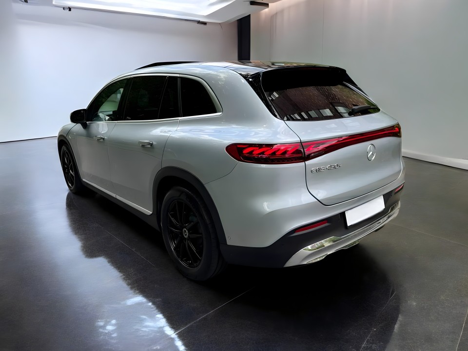 Mercedes-Benz EQS SUV 450+ Electric Art (4)