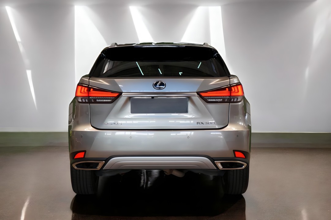 Lexus Seria RX 300 (3)
