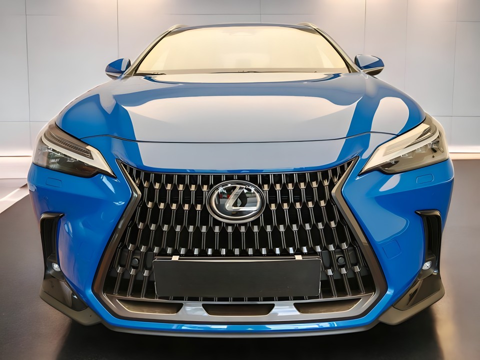 Lexus Seria NX 350h AWD Executive Line (5)