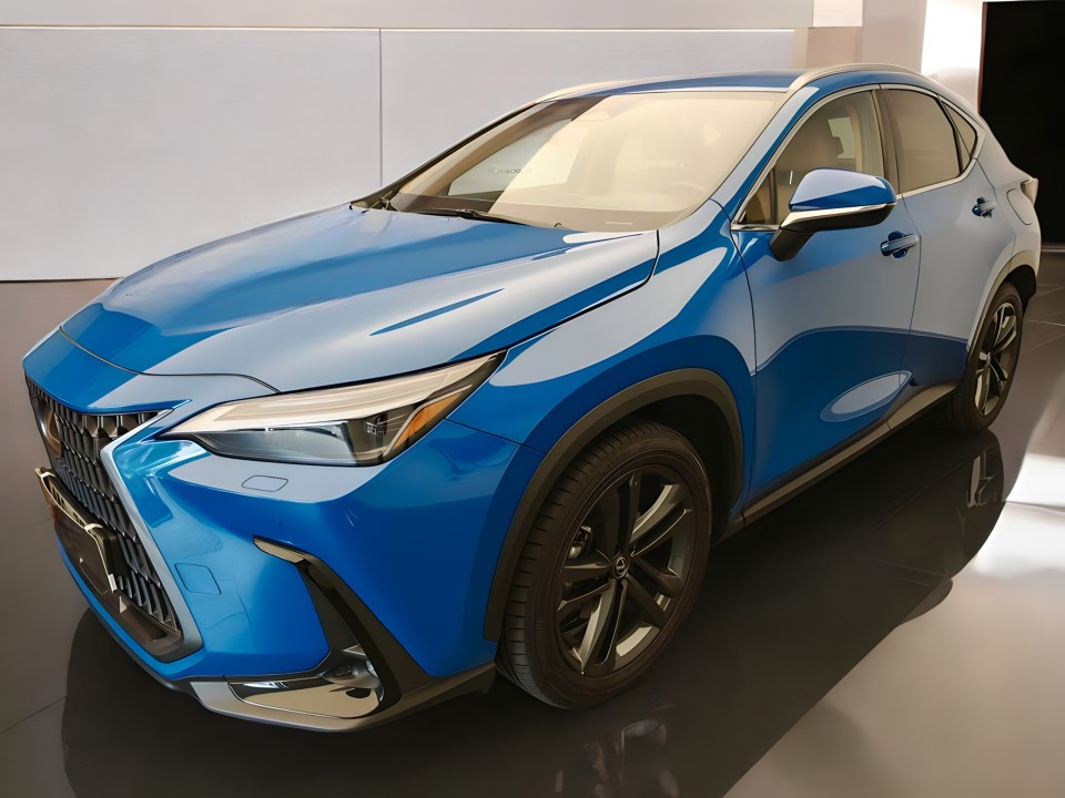 Lexus Seria NX 350h AWD Executive Line (4)
