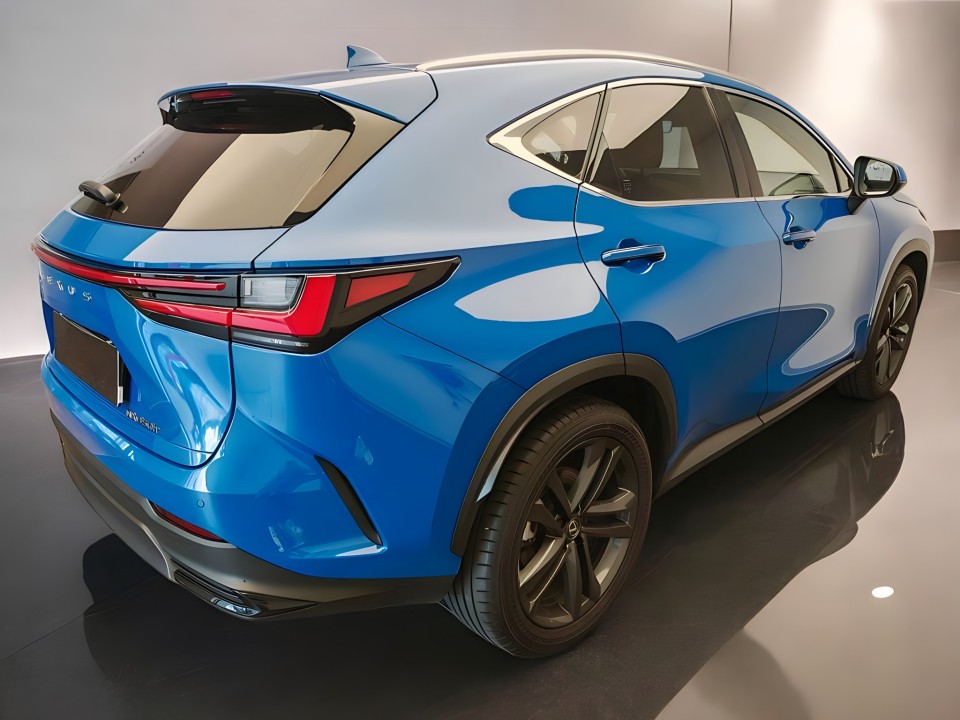 Lexus Seria NX 350h AWD Executive Line (2)
