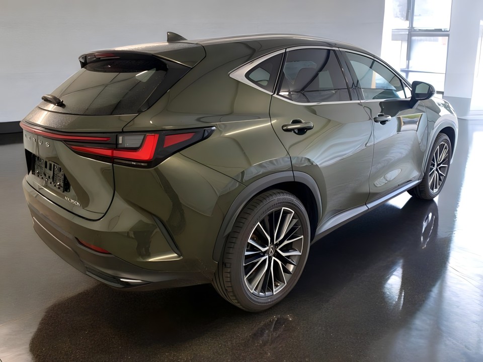 Lexus Seria NX 350h AWD Luxury Line (3)