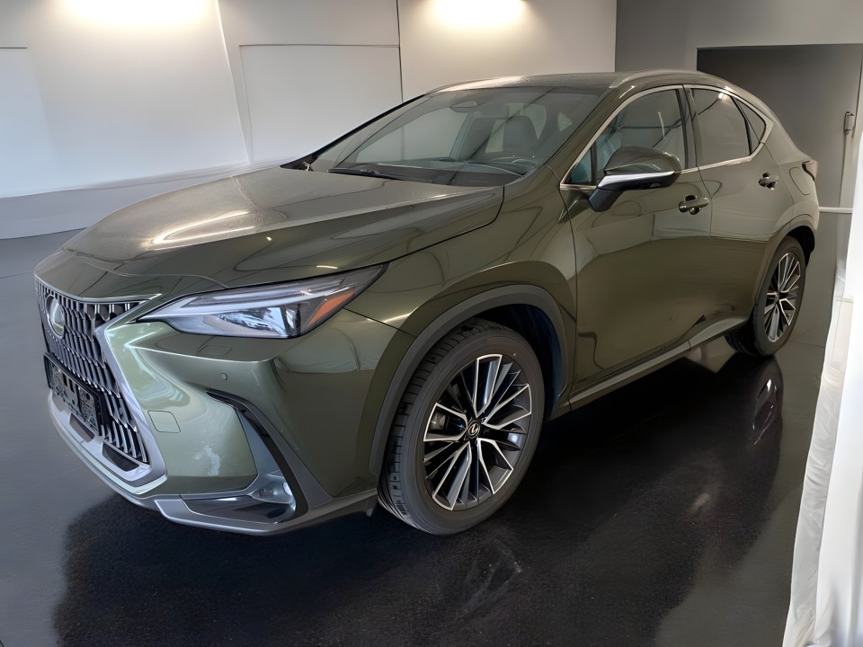 Lexus Seria NX 350h AWD Luxury Line (2)