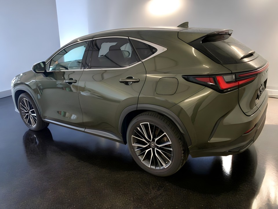 Lexus Seria NX 350h AWD Luxury Line (4)