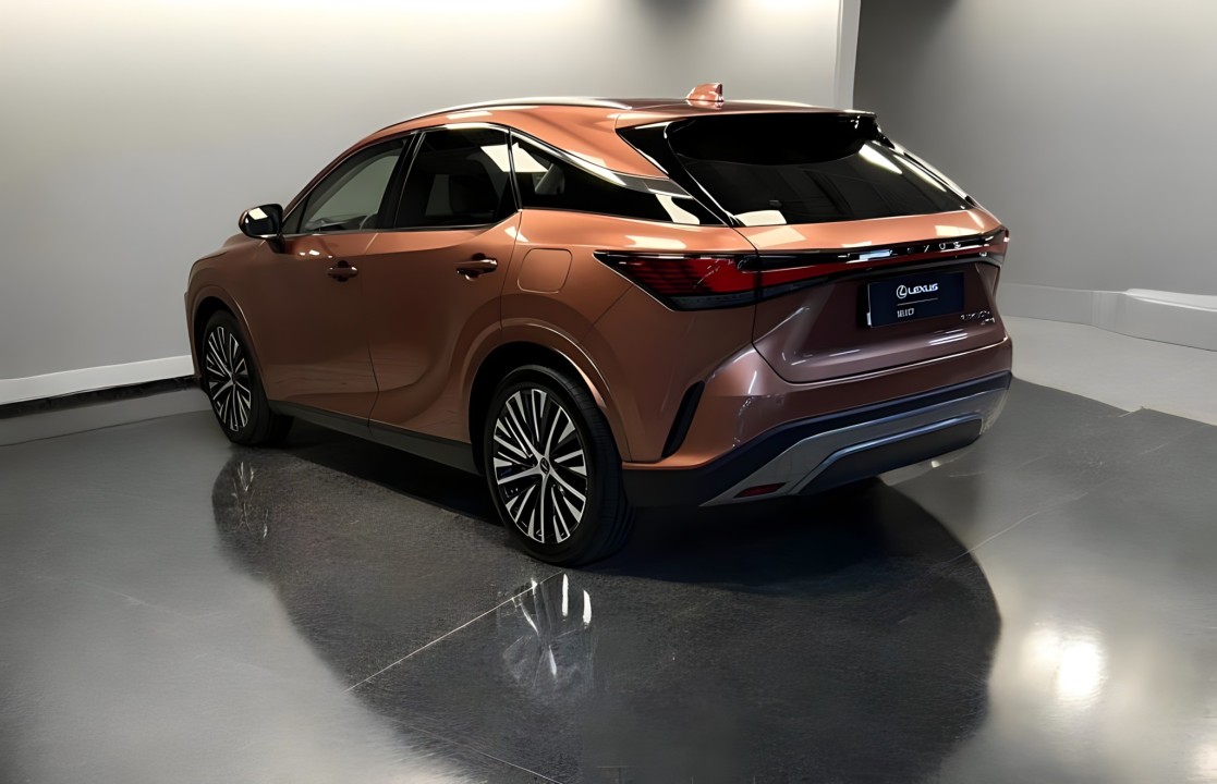 Lexus Seria RX 450h+ AWD Executive Line (5)