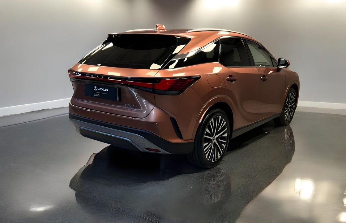 Lexus Seria RX 450h+ AWD Executive Line (3)